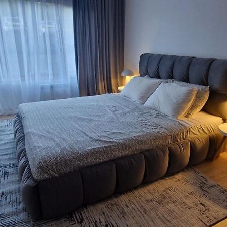 Free Spa Pirin Lodge Cosy Apartment Bansko Exteriör bild